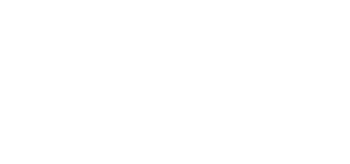 Partner Organization